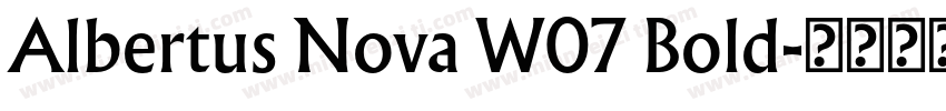 Albertus Nova W07 Bold字体转换
